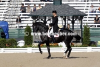 Photo Id: 37791