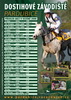 Poster Pardubice Racecourse